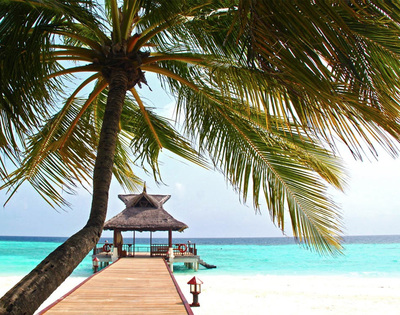 天涯海角.热带雨林.分界洲岛.南波湾.清澜半岛